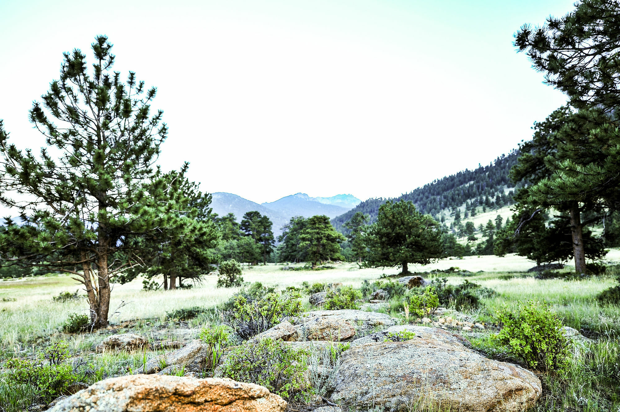 The Historic Crag'S Lodge Estes Park Luaran gambar